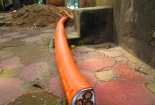 Đường dây 'tử thần'
